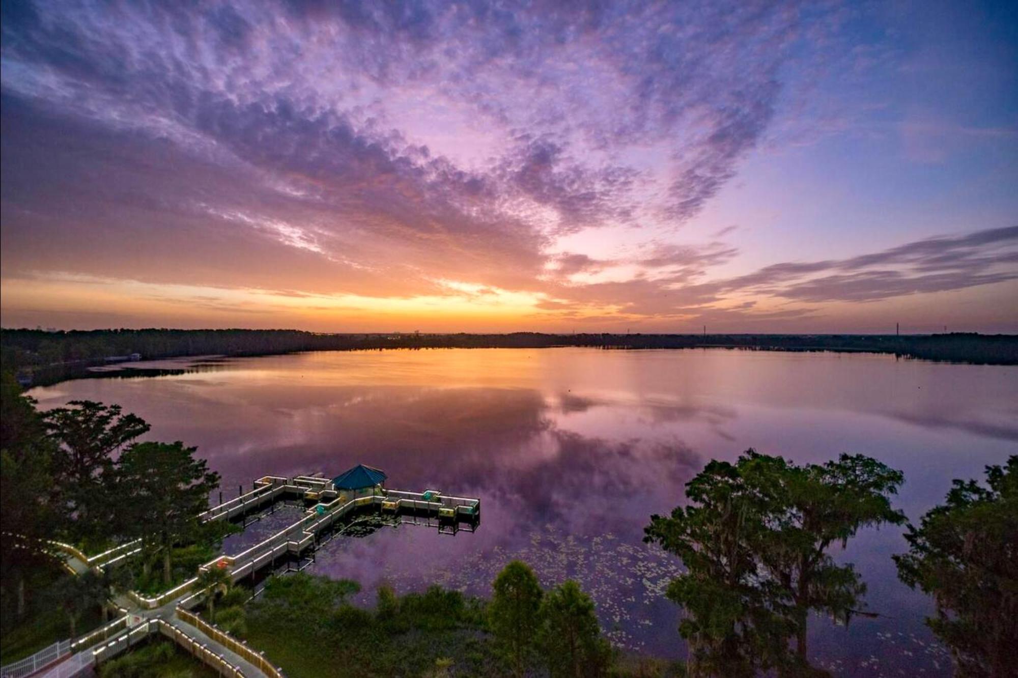 Balcony King Suite - Lake & Pool View オーランド エクステリア 写真